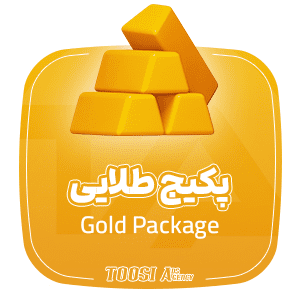 پکیج طلایی طراحی سایت